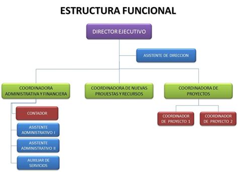Estructura Funcional Formas De Organizacion Estudio De La Naturaleza