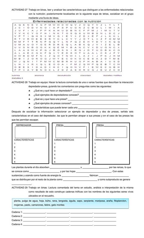 Actividades Para Enlace