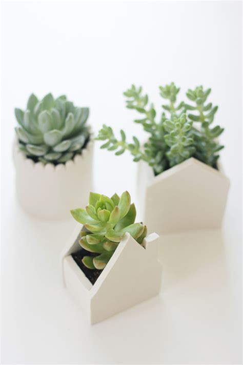 Stylish Diy Planters For Spring