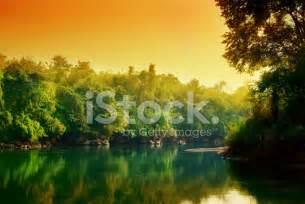 Sunset In Jungle Of Thailand Stock Photo Royalty Free Freeimages