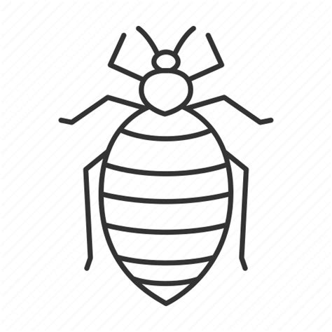 Bed bug, bedbug, beetle, insect, parasite, pest icon