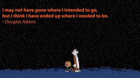 Calvin And Hobbes Looking At Stars Focus Wiring