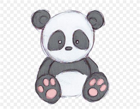 Giant Panda Cute Drawing