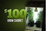 Photos of Marijuana Closet Grow Box