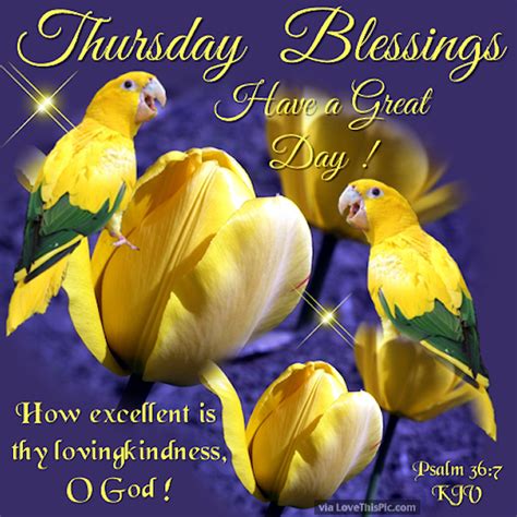 Thursday Blessings Have A Great Day Pictures Photos And Images For