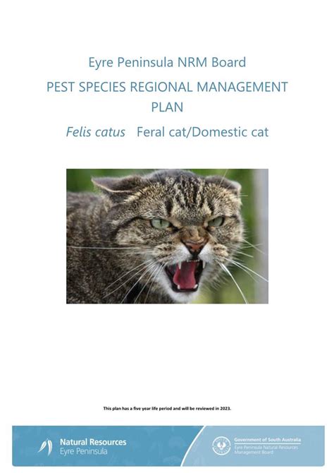 Eyre Peninsula Feral Cat Management Plan Docslib