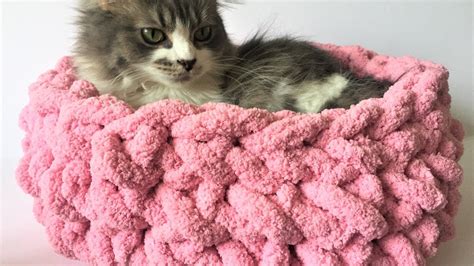 Knit A Cat Bed In 15 Minutes With No Needles Becozi Crochet Cat Bed