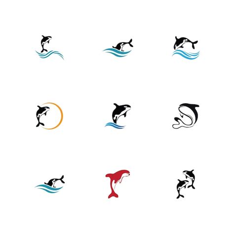 Ilustración De Vector De Logotipo De Orca En Diseño De Moda Vector