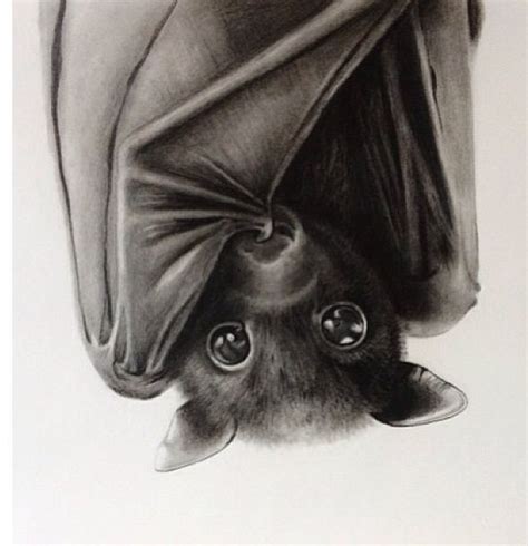 Pin By Kaitlyn Bradley On Tattoo Ideas Bat Tattoo Cute Bat Bat Art