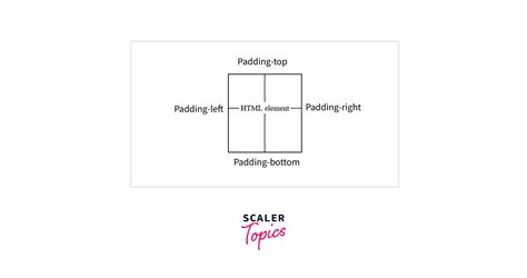 What Are Margin And Padding In Css Scaler Topics