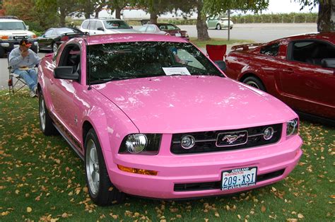 Ask questions and get answers from people sharing their experience with treatment. Pink Pony - Pink Mustangs Photo (13529126) - Fanpop
