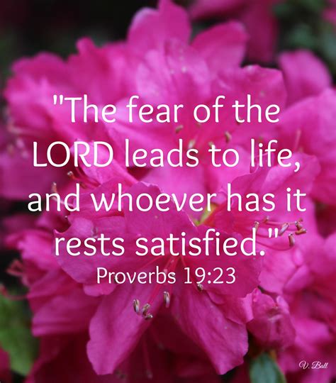 Pin By Vickie Ball On Theology Fear Of The Lord Proverbs 19 Bible