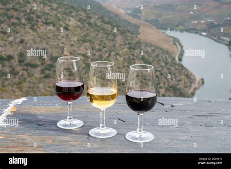 Tasting Of Portuguese Fortified Dessert And Dry Port Wine Produced In