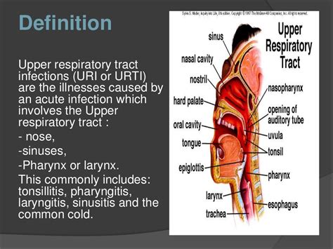 Upper Respiratory Tract Infection