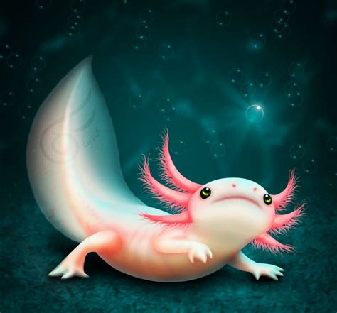 137 Best Images About Axolotl Ajolote On Pinterest