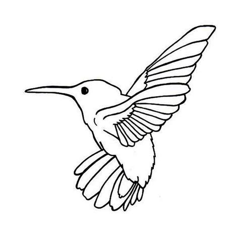 Some we found were free, but were not very realistic or good for coloring. Allens Hummingbird Coloring Page : Kids Play Color