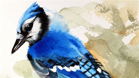 How To Paint A Blue Jay Bird In Watercolor Youtube