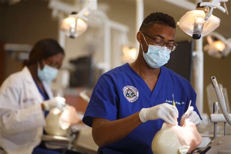 Colleges That Major In Dentistry Infolearners