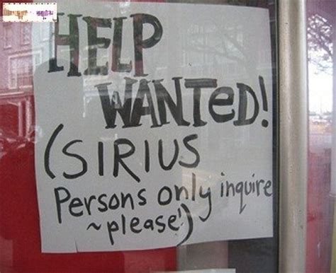 funny now hiring ads 25 pics