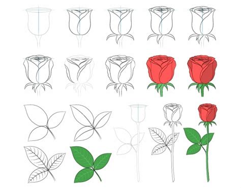 13 Gambar Sketsa Bunga Yang Bagus And Mudah Ditiru Pemula