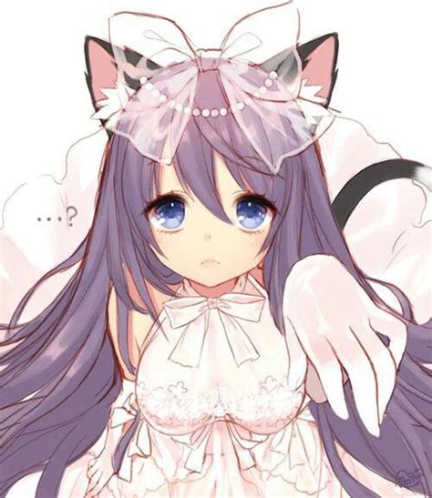 Anime Girl Purple Hair Blue Eyes Cat Ears Cat Tail Neko