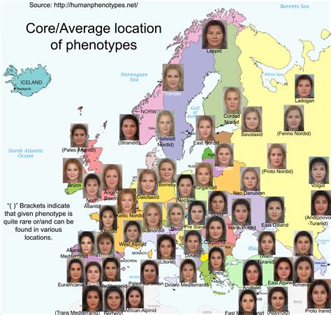 Average Location Of Phenotypes Women Free Download Borrow And
