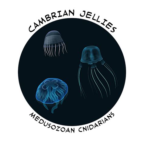 Cambrian Explosion Month 06 Phylum Cnidaria Nix Draws Stuff