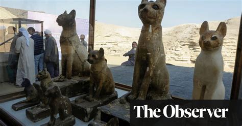 Mummified Lion And Dozens Of Cats Among Rare Finds In Egypt Science