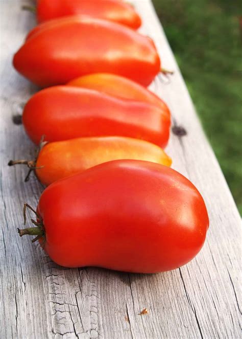 Tomato Varieties To Grow In Your Garden