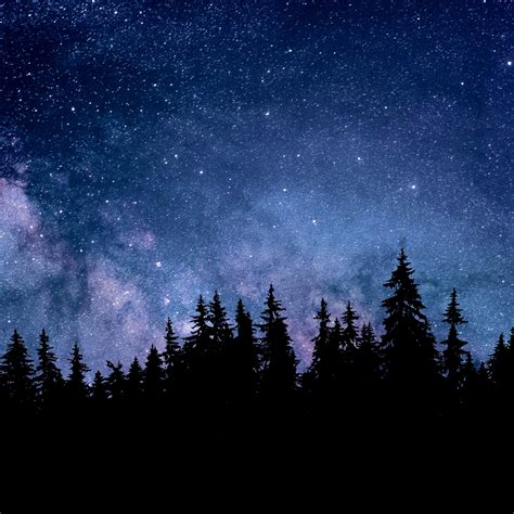 Night Wallpaper 4k Starry Sky Forest Silhouette Astronomy Nature