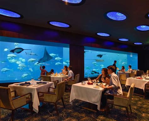 Restaurant Review Resorts World Sentosas Ocean Restaurant Makes A