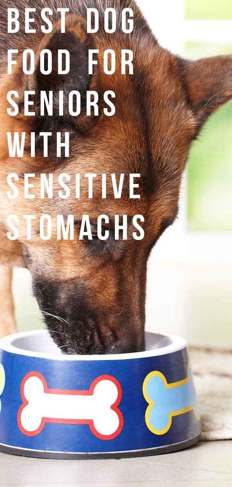 Work with your vet to determine the best wet dog food for your gal's sensitive tummy. Best Dog Food for Senior Dogs with Sensitive Stomachs ...