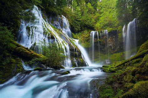 Cascading Waterfall Forest Tree Cascades River Hd Wallpaper Peakpx