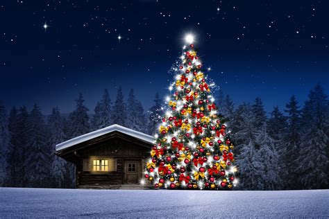 Decorated Large Christmas Tree 4k Ultra Fondo De Pantalla Hd Fondo De