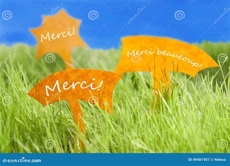 Three Labels With French Merci Which Means Thank You And Blue Sky Stock