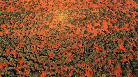 Outback Aerial Bing Wallpaper Download