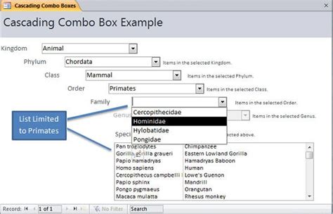 Microsoft Access Form Cascading Combo Boxes