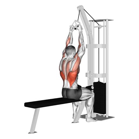 Close Grip Lat Pulldown Benefits Muscles Worked And More Inspire Us