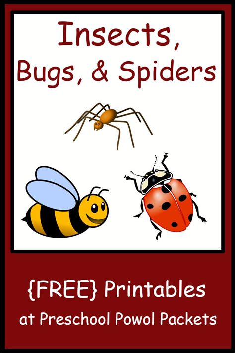 printable insect worksheets  preschoolers learning   read
