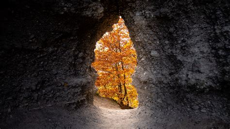 Download Wallpaper 3840x2160 Cave Trees Yellow Autumn