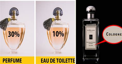 The Difference Between Perfume Cologne And Eau De Toilette Small Joys