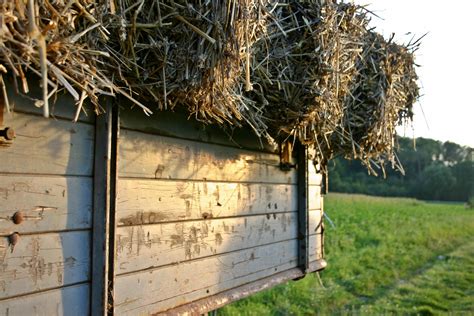 Free Images Tree Nature Fence Wood Bale Field Meadow Hut