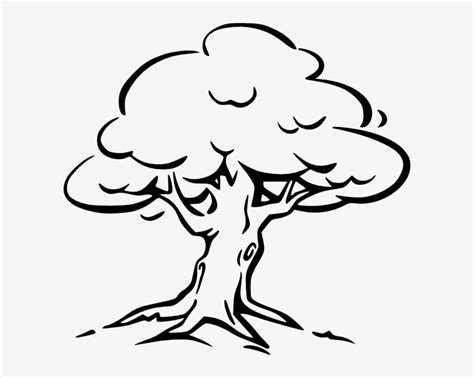 Tree Clip Art Clip Art Black And White Tree Transparent Png 600x575