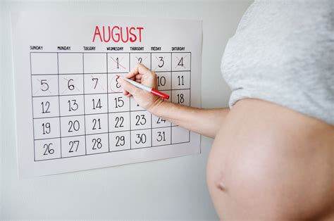 Calendário Da Gestação Pílulas Maternas