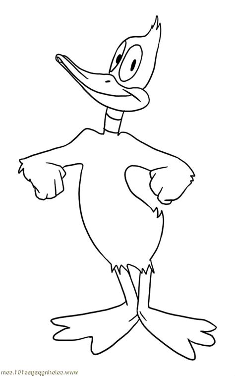 Daffy Duck Outline Coloring Pages Netart Daffy Duck Duck Outline