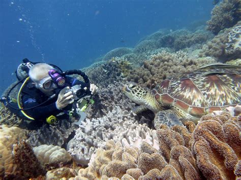 Scuba Diving In Coron Busuanga Palawan Coron Backpacker Guesthouse