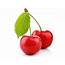 7 Amazing Benefits Of Cherries  Organic Facts