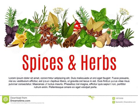 Vector Spices And Herbs Farm Store Poster Stock Vector Illustration