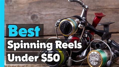 Top 5 Best Spinning Reels Under 50 In 2023 Amazon Budget Spinning