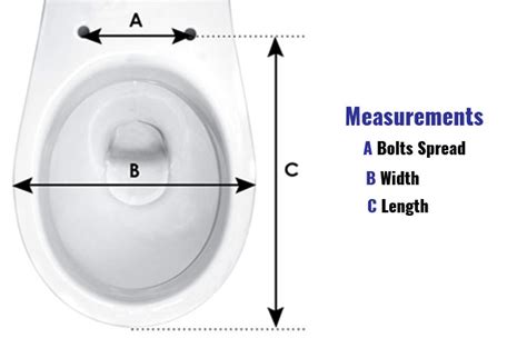 Elongated Toilet Dimensions Best Seat Covers Risers Pros Cons Toiletseek